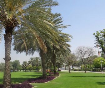 Creek side park Jaddaf