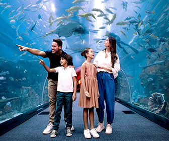 Free Birthday Entry at Dubai Aquarium & Underwater Zoo
