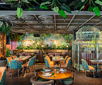 Mama Zonia Birthday Offer: Free Meal at Dubai’s Hottest Jungle-Themed Restaurant