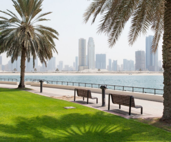 Discovering Dubai Public Parks: Nature in the Heart of the City