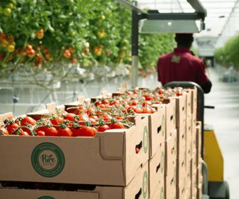 The Untold Story of Dubai Eco-Conscious Startups and Entrepreneurs