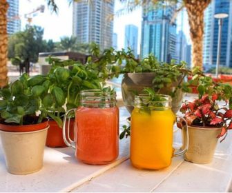 vegan healthy dubai